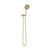 Linea Wet Bracket Handshower Kit Brushed Gold