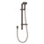 Waipori MK2 Rail Shower Brushed Bronze 3 Star