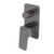 Waipori MK2 Shower Mixer Gunmetal With Diverter