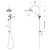 Wiltern Twin Shower Brushed Gold