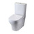 Annex Toilet Suite Twist Flush P - Pan