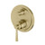 Cromford Shower / Bath Diverter Mixer SwitchMix Fit-Off Kit Brushed Gold Lead Free