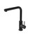 Linea Swivel Sink Mixer Black 1 EA
