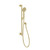 Vivid MKII Rail Shower Brushed Gold