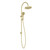 Vivid MKII Twin Shower Brushed Gold