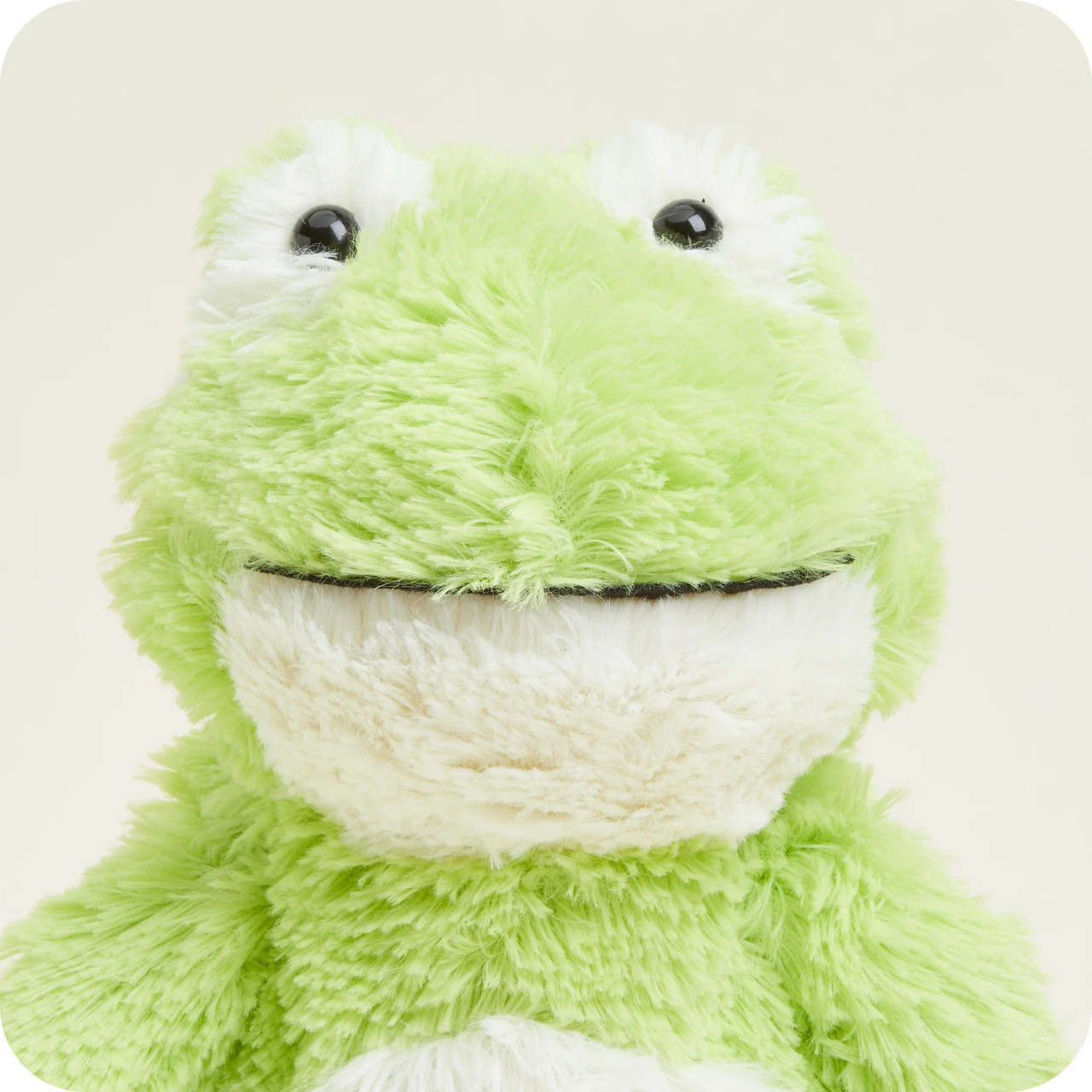 Warmies Cozy Plush Frog Fully Microwavable Toy