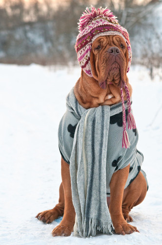 The Heat Treats Top 10 Unconventional Winter Hacks