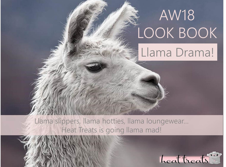 AW 18 Look Book - Llama Drama
