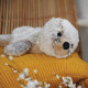 Seal Cozy Plush Microwavable Toy