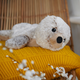 Seal Cozy Plush Microwavable Toy