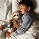 Brown Sloth Cozy Plush Microwavable Toy