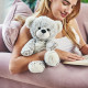 Beige Bear Cozy Plush  Microwavable Toy