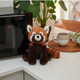 Red Panda Cozy  Plush Microwavable Toy