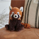 Red Panda Cozy  Plush Microwavable Toy