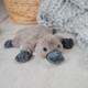 Warmies 13" Cozy Plush Platypus Microwavable Toy