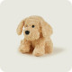 Cockapoo Cozy Plush Microwavable Toy