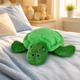 3D Turtle Novelty Padded Hot Water Bottle