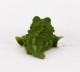 Alligator MINI Cozy Plush Microwavable Toy