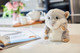Grey Hamster Cozy Plush Microwavable Toy