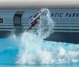 The Future of Surfing Arrived in Virginia Beach with Stab High