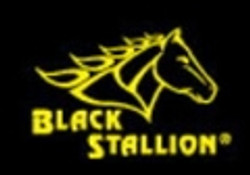 Black Stallion