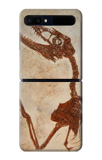 S0379 Fossile de dinosaure Etui Coque Housse pour Samsung Galaxy Z Flip 5G