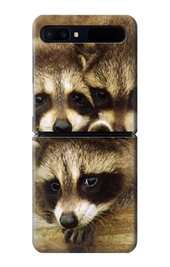 S0977 Les ratons laveurs bébé Etui Coque Housse pour Samsung Galaxy Z Flip 5G