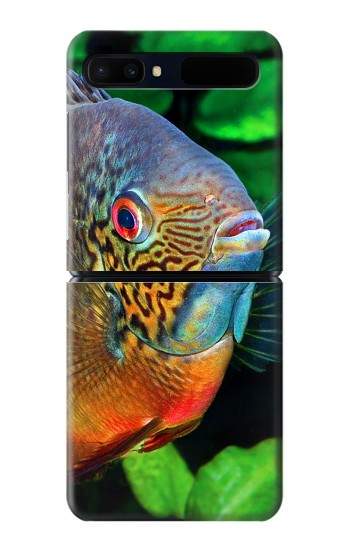 S1812 cichlidés poisson Etui Coque Housse pour Samsung Galaxy Z Flip 5G