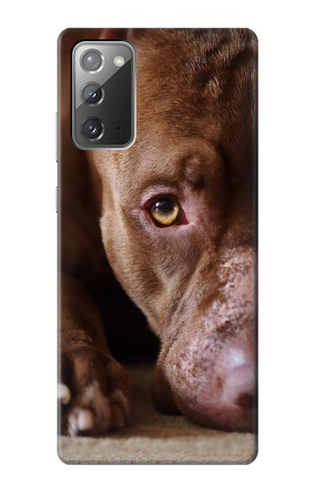 S0519 PitBull Visage Etui Coque Housse pour Samsung Galaxy Note 20
