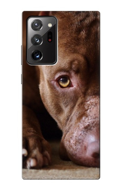 S0519 PitBull Visage Etui Coque Housse pour Samsung Galaxy Note 20 Ultra, Ultra 5G