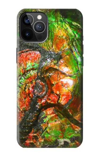 S2694 ammonite Fossile Etui Coque Housse pour iPhone 12, iPhone 12 Pro
