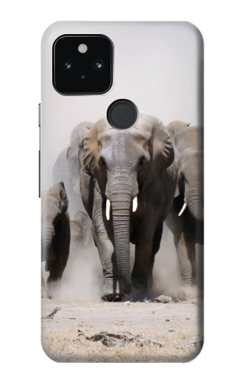 S3142 éléphant d'Afrique Etui Coque Housse pour Google Pixel 5