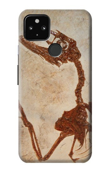 S0379 Fossile de dinosaure Etui Coque Housse pour Google Pixel 4a 5G