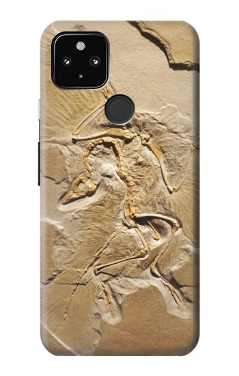 S0380 Fossile de dinosaure Etui Coque Housse pour Google Pixel 4a 5G