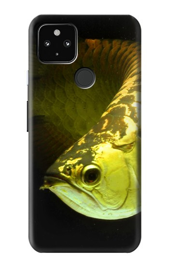 S1021 Or Arowana poissons Etui Coque Housse pour Google Pixel 4a 5G