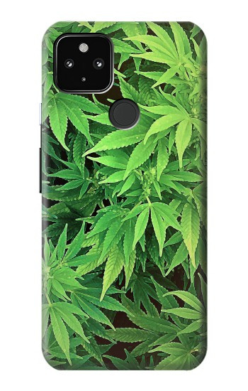 S1656 Plante Etui Coque Housse pour Google Pixel 4a 5G