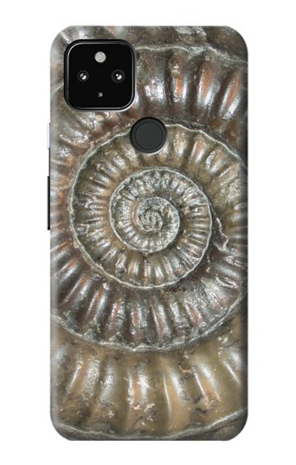 S1788 ammonite Fossile Etui Coque Housse pour Google Pixel 4a 5G