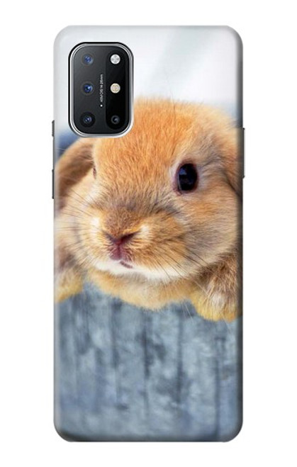 S0242 Lapin mignon Etui Coque Housse pour OnePlus 8T