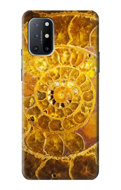 S1789 ammonite Fossiles Etui Coque Housse pour OnePlus 8T