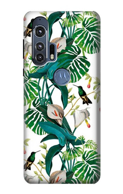 S3697 Oiseaux de la vie des feuilles Etui Coque Housse pour Motorola Edge+