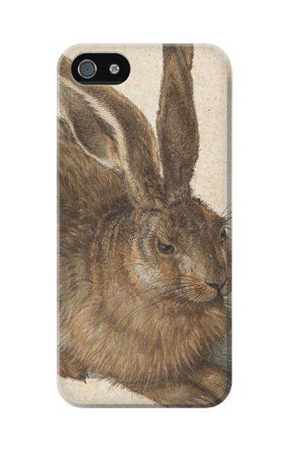 S3781 Albrecht Durer Young Hare Etui Coque Housse pour iPhone 5C