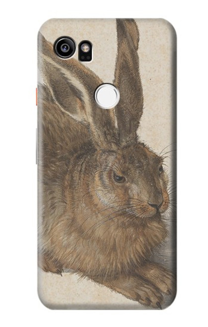 S3781 Albrecht Durer Young Hare Etui Coque Housse pour Google Pixel 2 XL