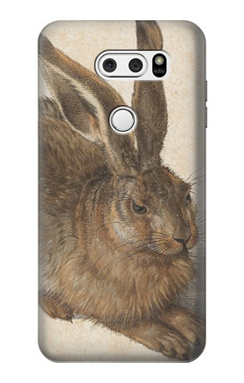 S3781 Albrecht Durer Young Hare Etui Coque Housse pour LG V30, LG V30 Plus, LG V30S ThinQ, LG V35, LG V35 ThinQ