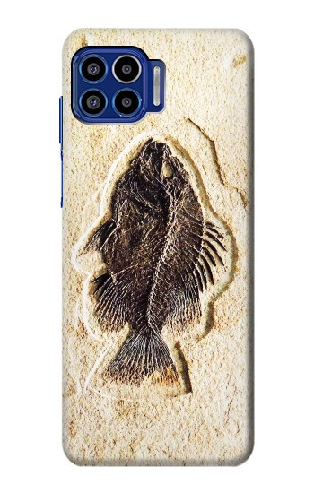 S2562 fossile poisson Etui Coque Housse pour Motorola One 5G