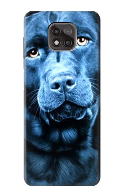 S0750 Labrador Retriever Etui Coque Housse pour Motorola Moto G Power (2021)