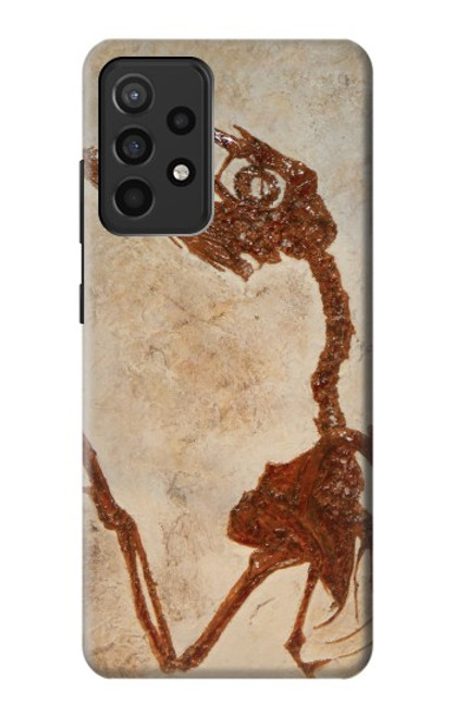 S0379 Fossile de dinosaure Etui Coque Housse pour Samsung Galaxy A52, Galaxy A52 5G