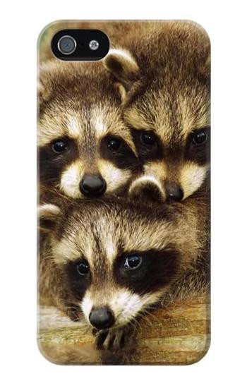 S0977 Baby Raccoons Etui Coque Housse pour iPhone 5 5S SE