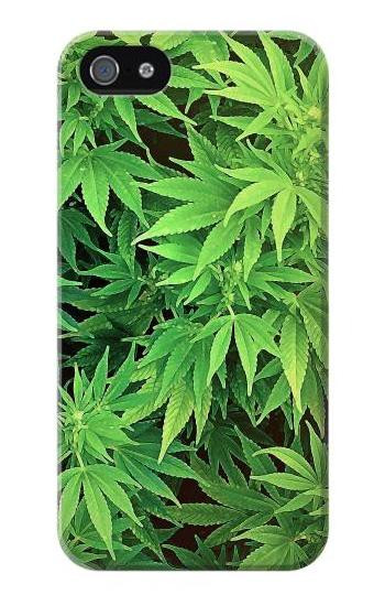 S1656 Marijuana Plant Etui Coque Housse pour iPhone 5 5S SE