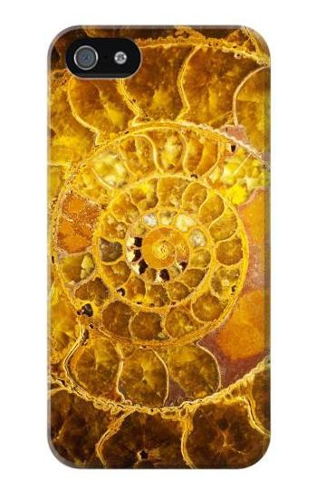S1789 Ammonite Fossils Etui Coque Housse pour iPhone 5 5S SE