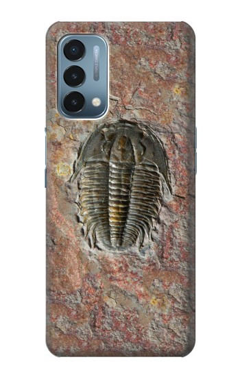 S1454 trilobite Fossile Etui Coque Housse pour OnePlus Nord N200 5G